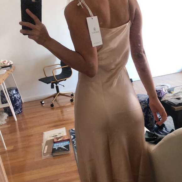 NWT Blush Triacetate Slip Dress - Picture 5 of 7